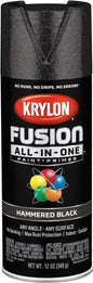 12 Oz  K02782007 Black Fusion All-In-One Paint & Primer Spray Paint, Hammered